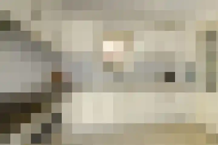 Van Pallandtlaan 4 Ermelo thumbnail 8