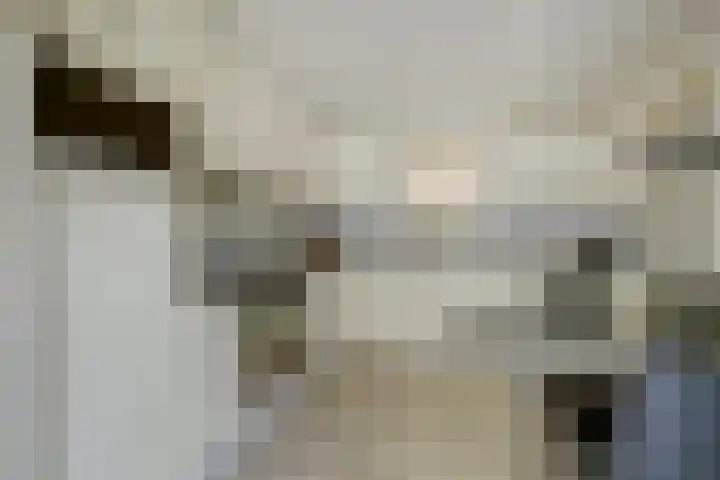Van Pallandtlaan 4 Ermelo thumbnail 9