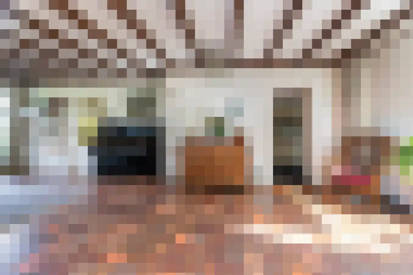 van Pallandtlaan 9 Wezep thumbnail 10