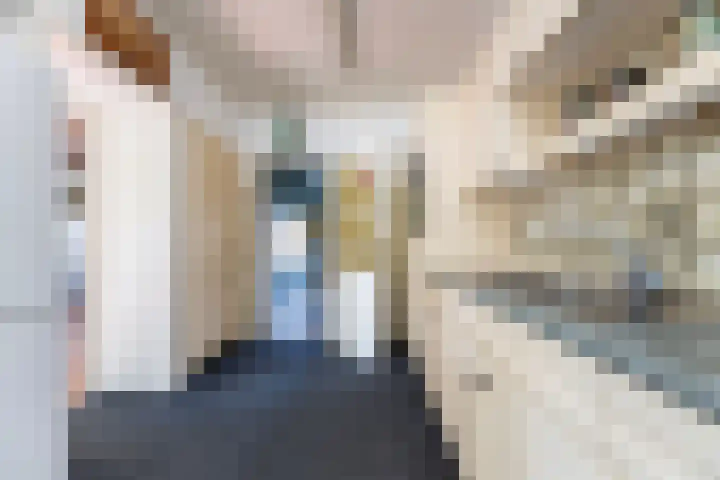 van Pallandtlaan 9 Wezep thumbnail 17