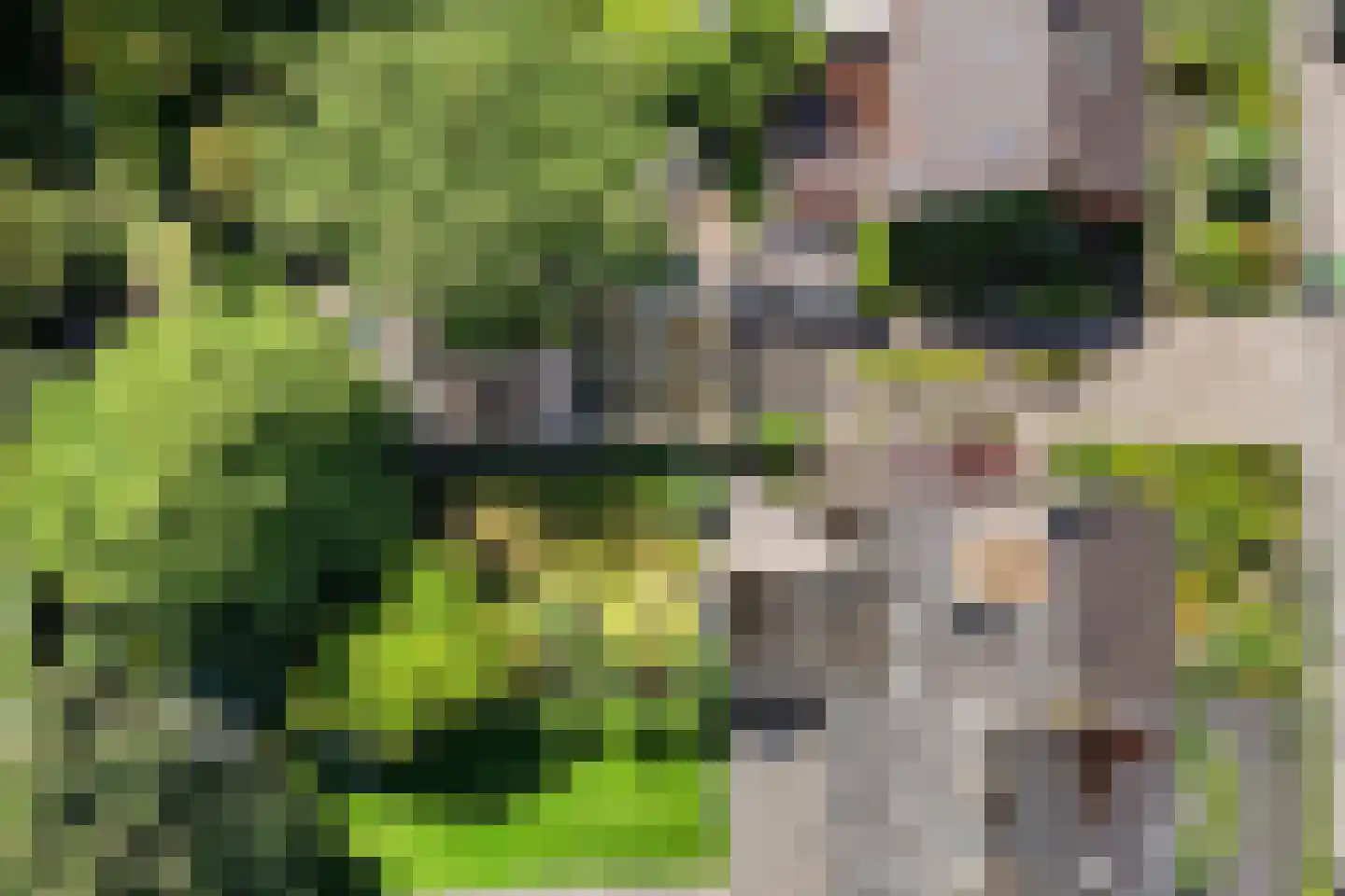 van Pallandtlaan 9 Wezep thumbnail 28