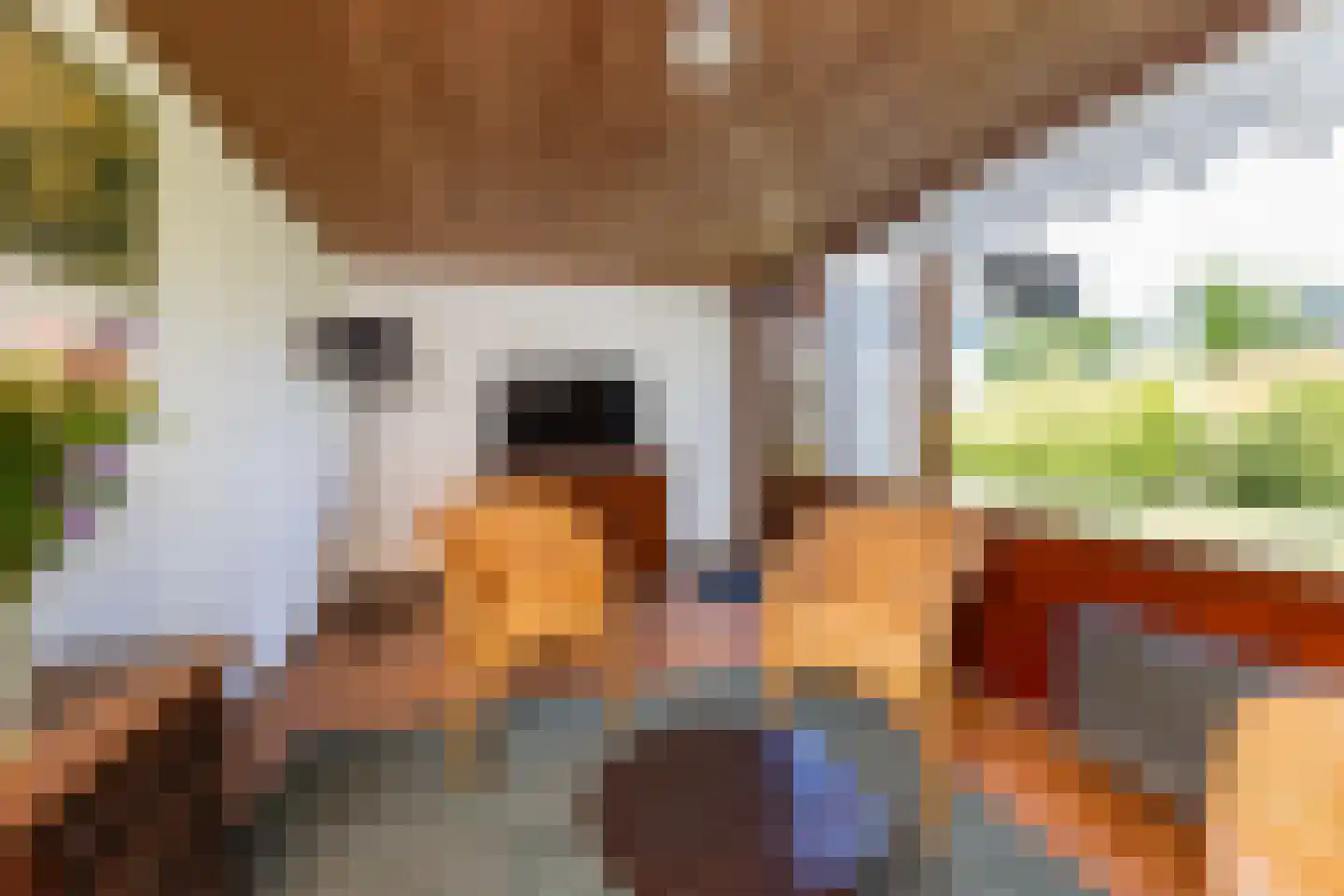 van Pallandtlaan 9 Wezep thumbnail 35