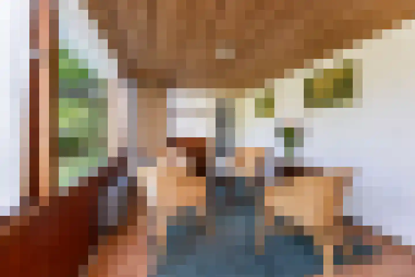 van Pallandtlaan 9 Wezep thumbnail 36