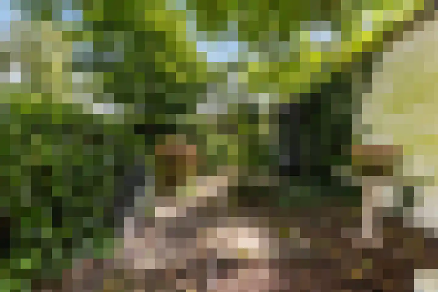 van Pallandtlaan 9 Wezep thumbnail 37
