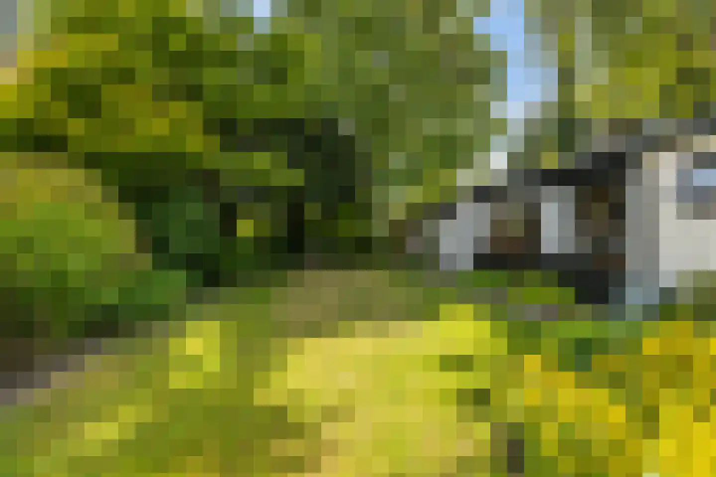 van Pallandtlaan 9 Wezep thumbnail 4