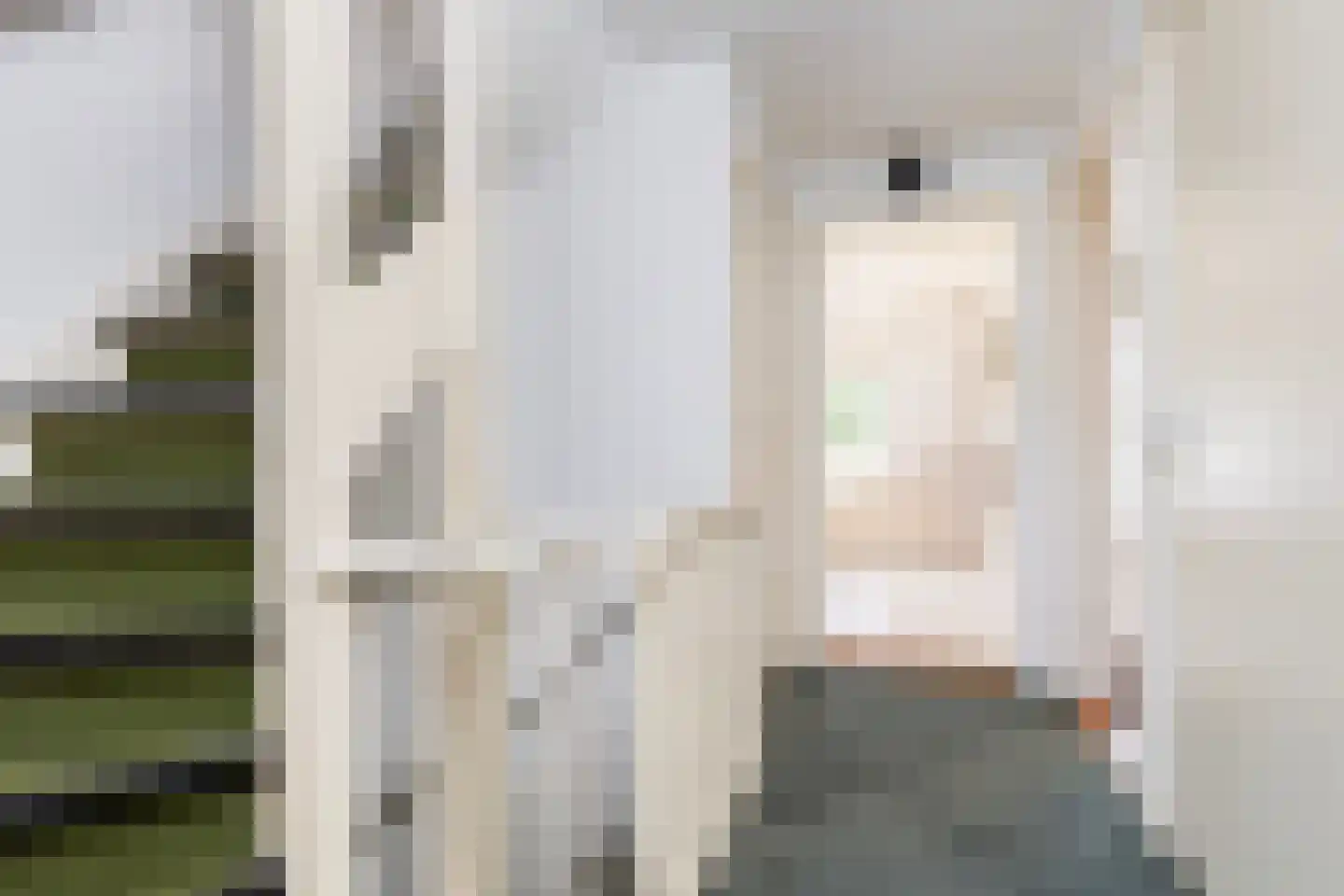 van Pallandtlaan 9 Wezep thumbnail 41