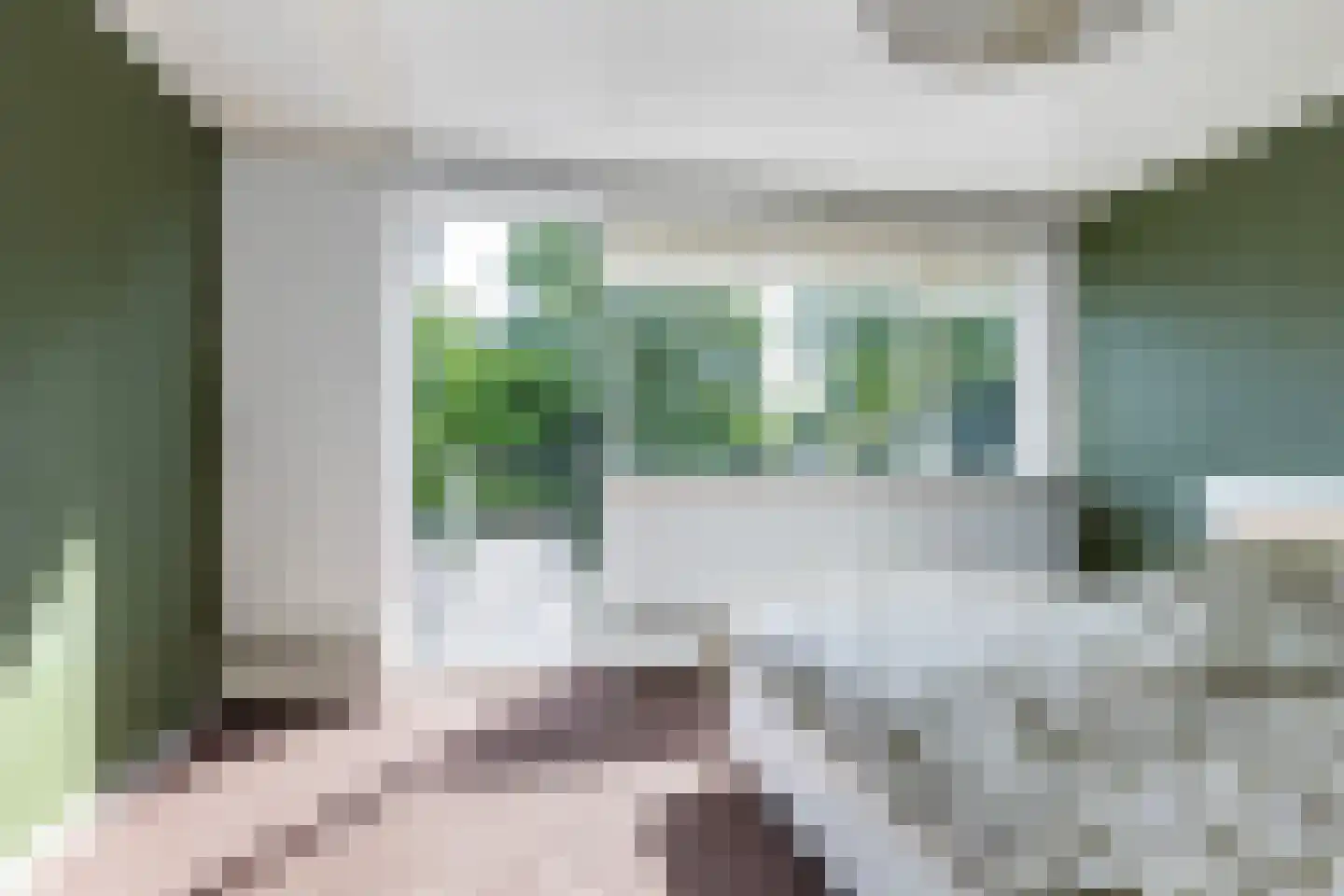 van Pallandtlaan 9 Wezep thumbnail 45