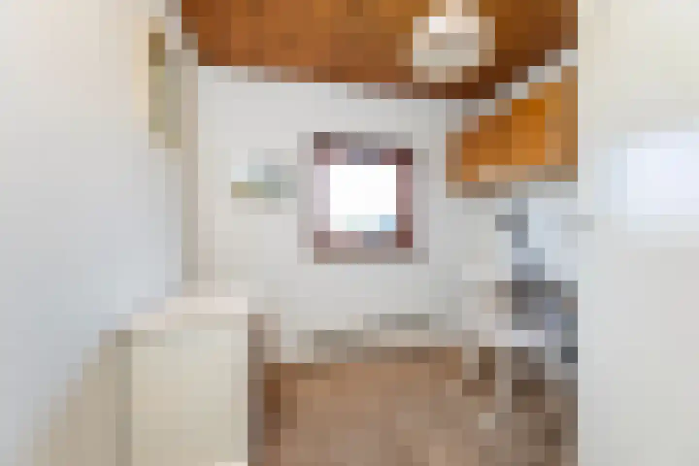 van Pallandtlaan 9 Wezep thumbnail 49