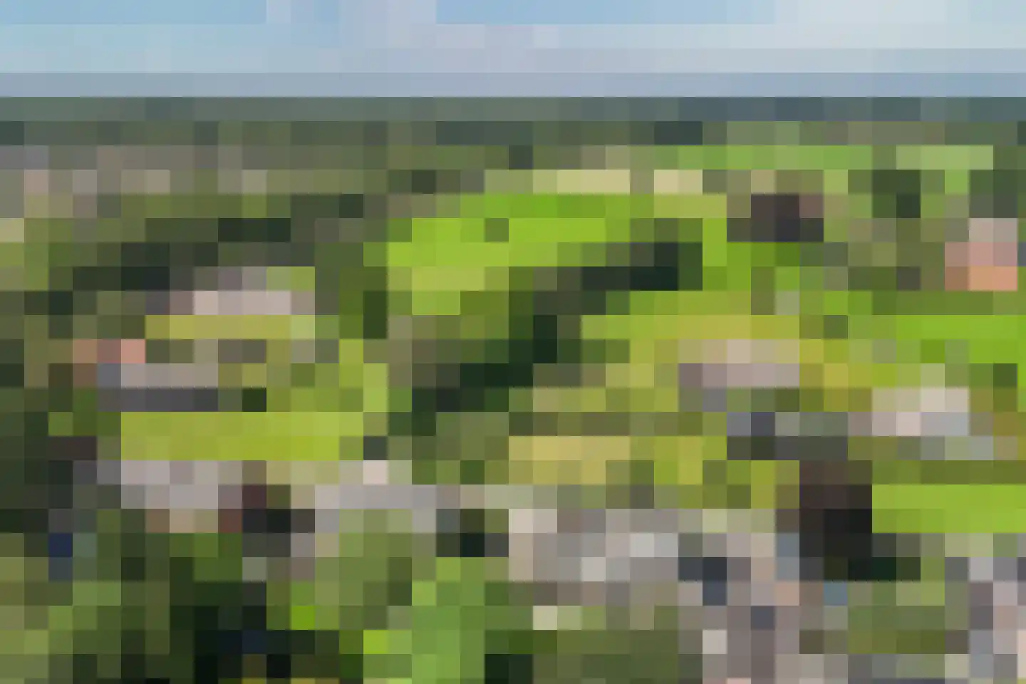 van Pallandtlaan 9 Wezep thumbnail 5