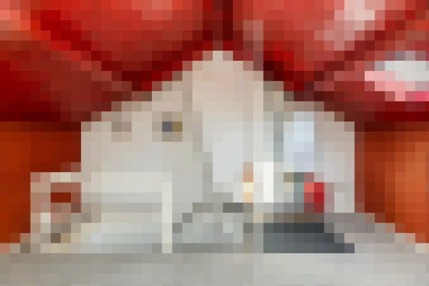 van Pallandtlaan 9 Wezep thumbnail 51