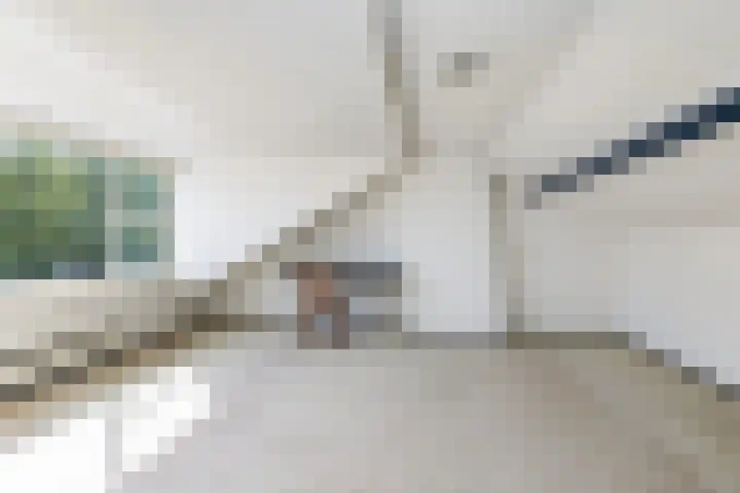 van Pallandtlaan 9 Wezep thumbnail 52