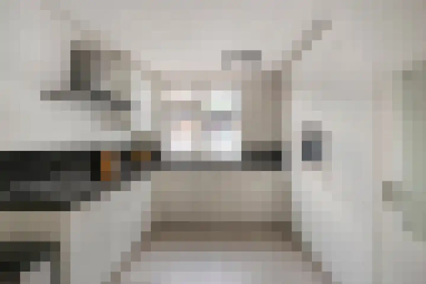Van Pallandtmarke 11 Zwolle thumbnail 11