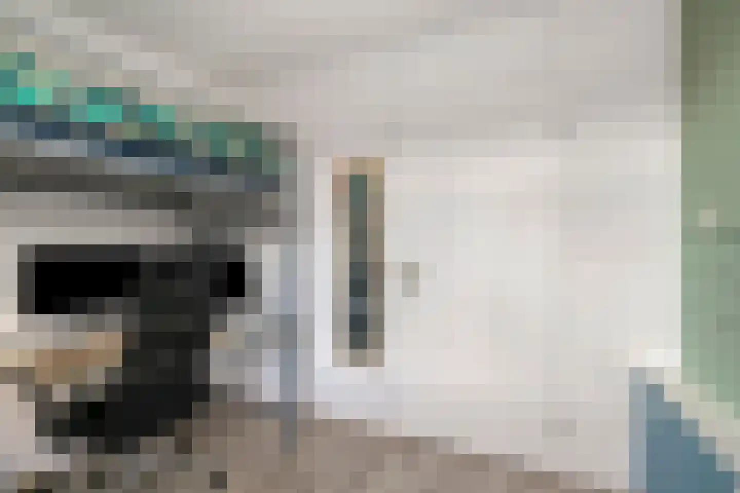 Van Pallandtmarke 11 Zwolle thumbnail 16