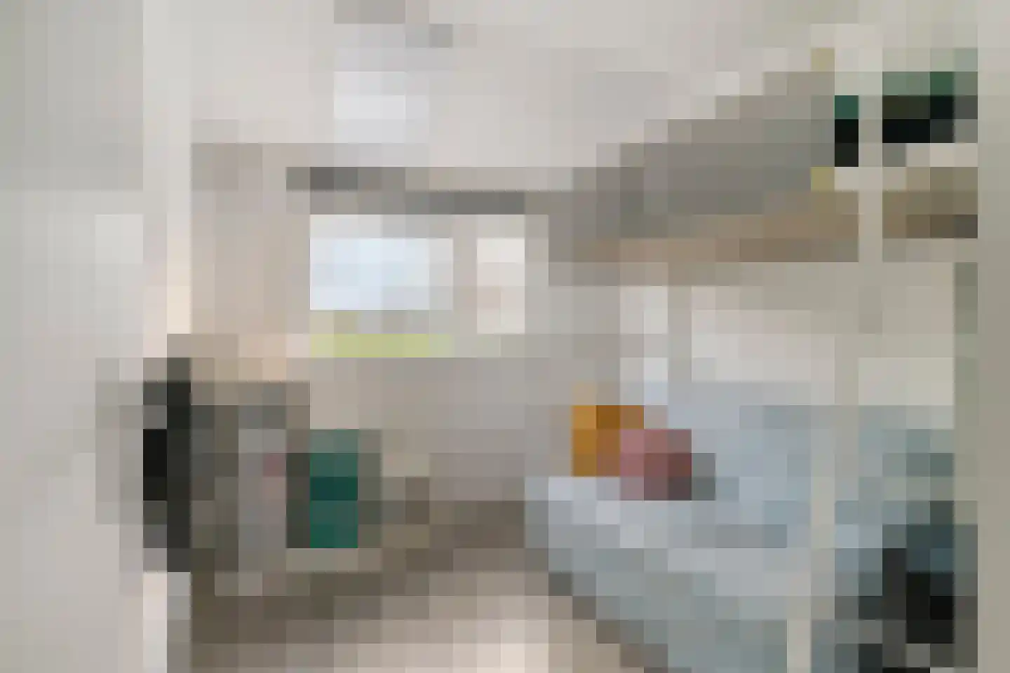 Van Pallandtmarke 11 Zwolle thumbnail 17