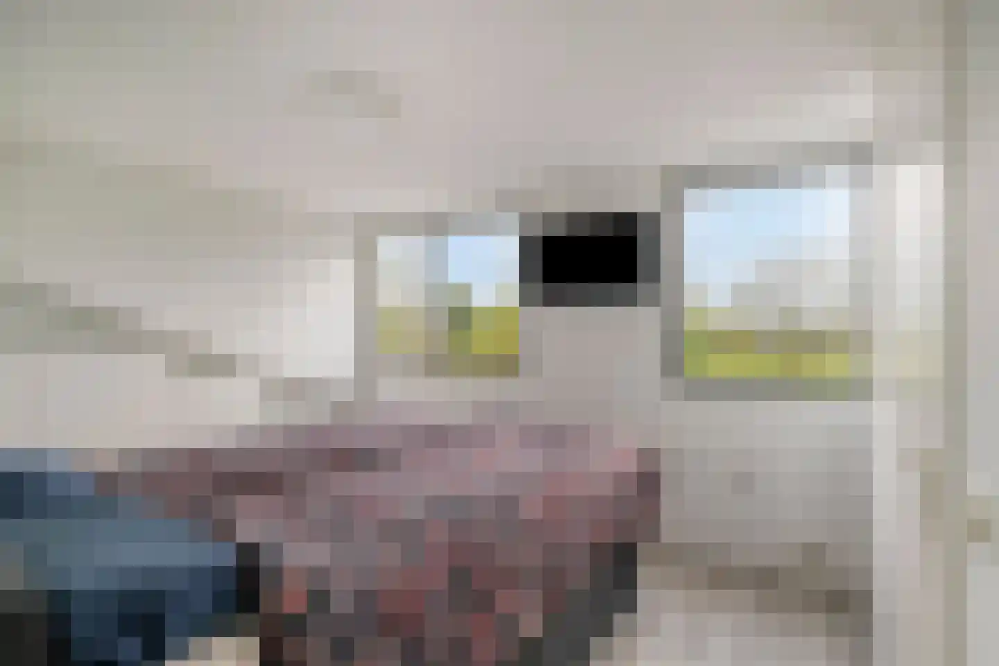 Van Pallandtmarke 11 Zwolle thumbnail 25