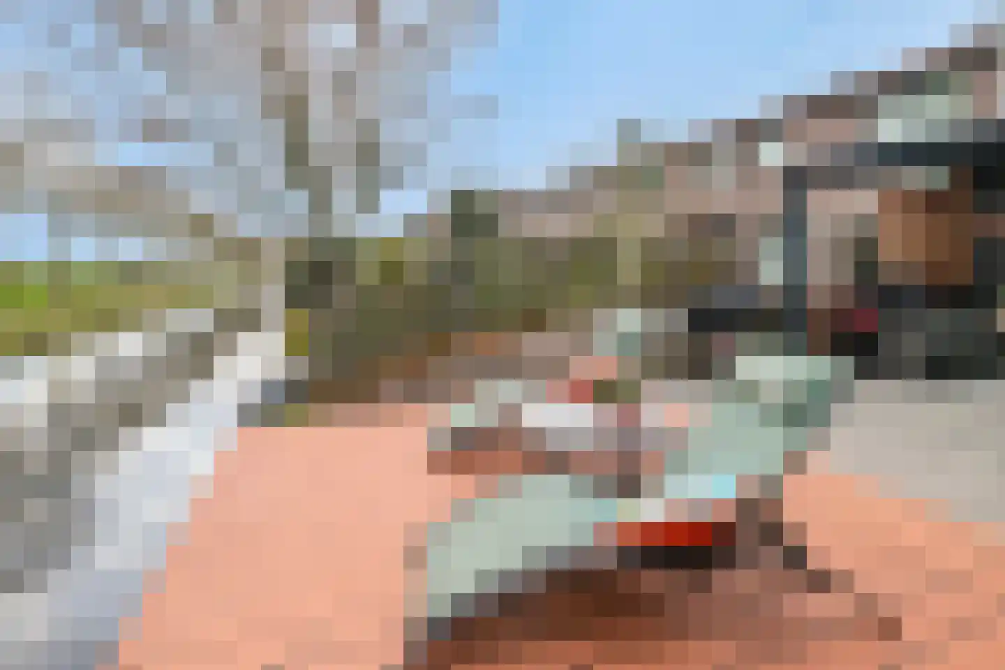 Van Pallandtmarke 11 Zwolle thumbnail 33