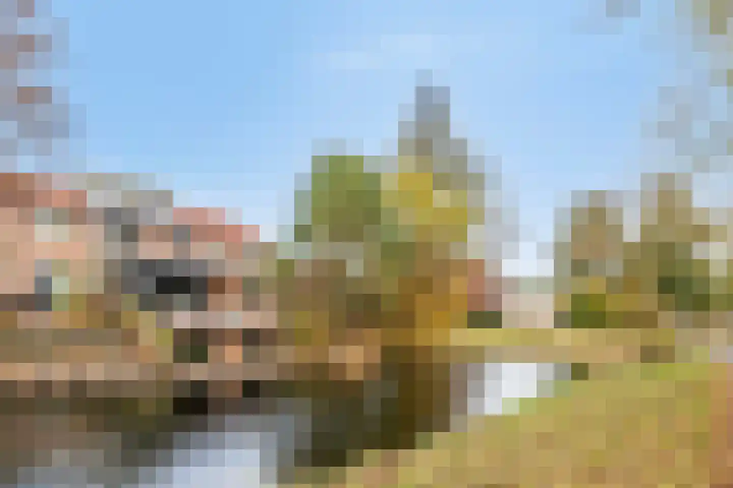Van Pallandtmarke 11 Zwolle thumbnail 36