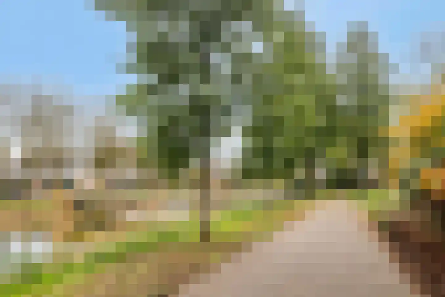 Van Pallandtmarke 11 Zwolle thumbnail 38