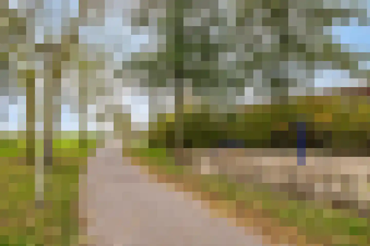 Van Pallandtmarke 11 Zwolle thumbnail 40