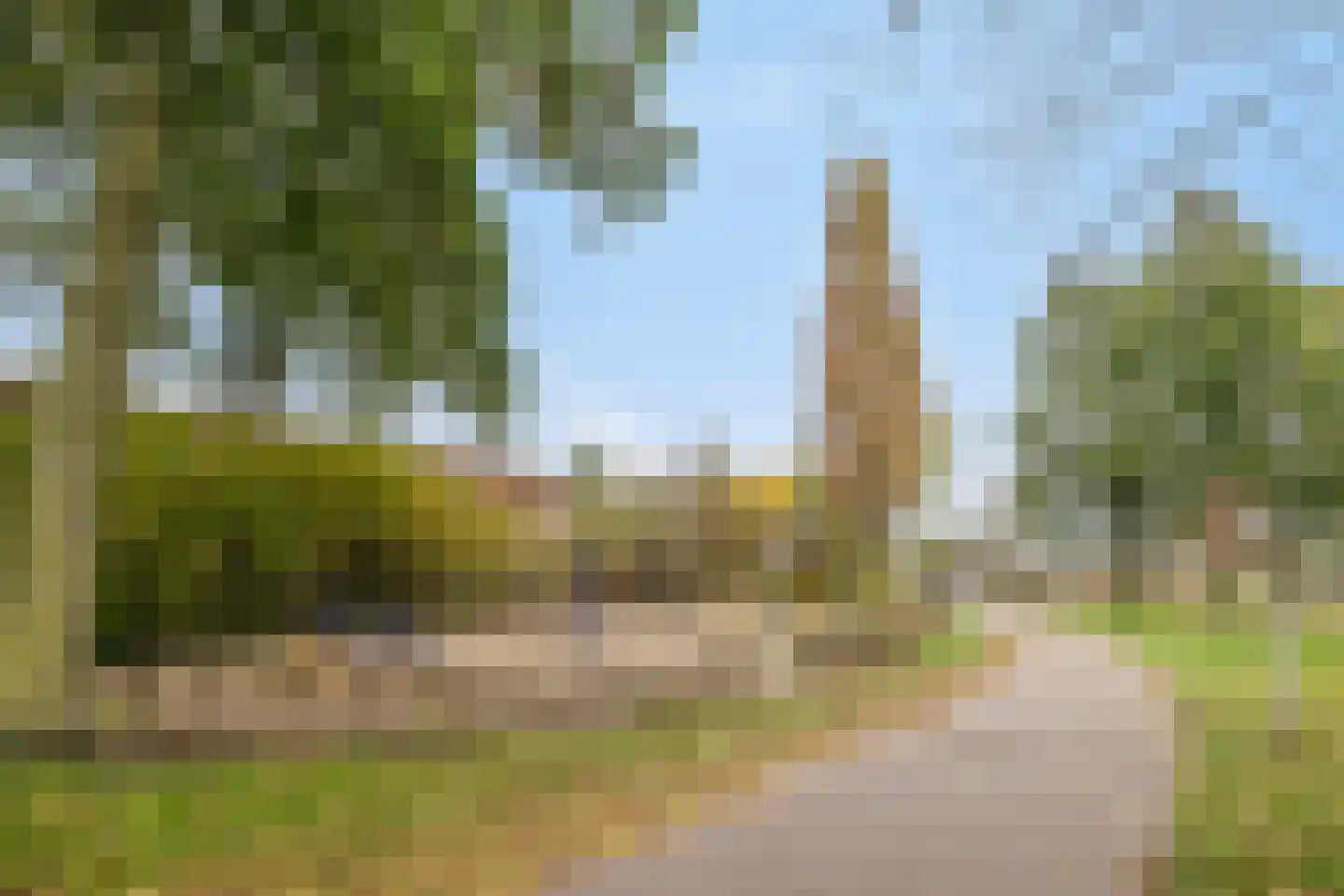 Van Pallandtmarke 11 Zwolle thumbnail 41