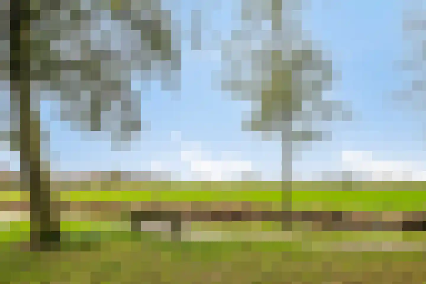 Van Pallandtmarke 11 Zwolle thumbnail 42