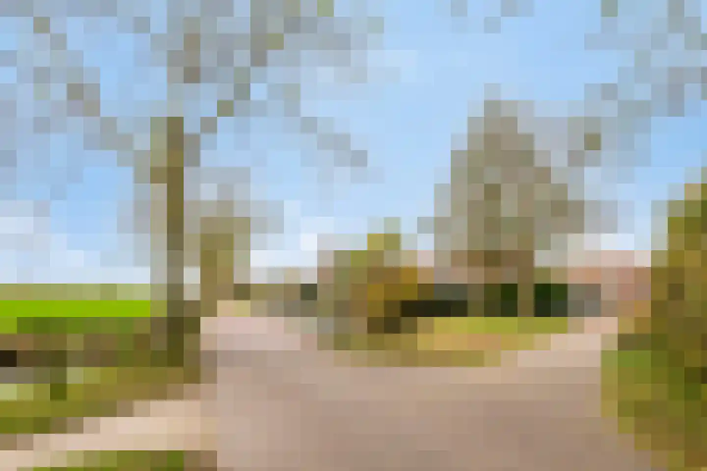 Van Pallandtmarke 11 Zwolle thumbnail 43