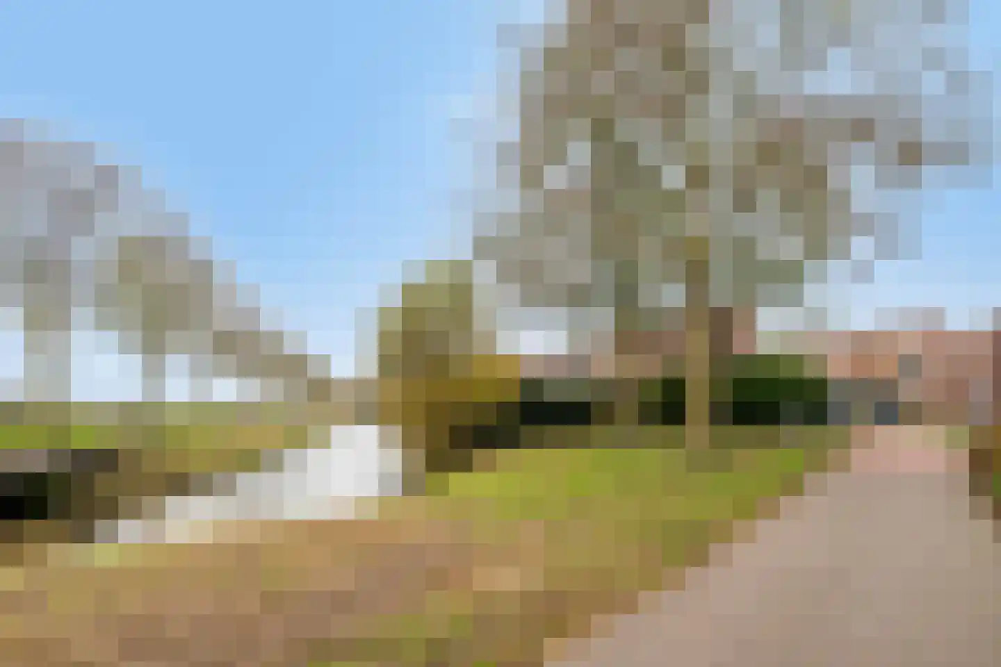 Van Pallandtmarke 11 Zwolle thumbnail 44
