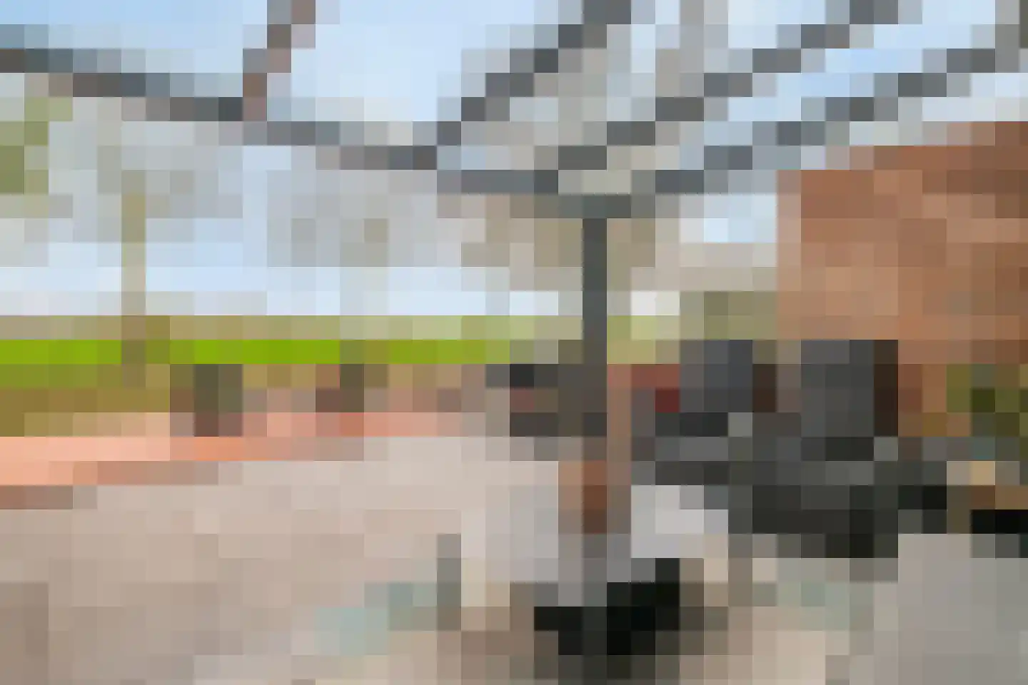 Van Pallandtmarke 11 Zwolle thumbnail 5