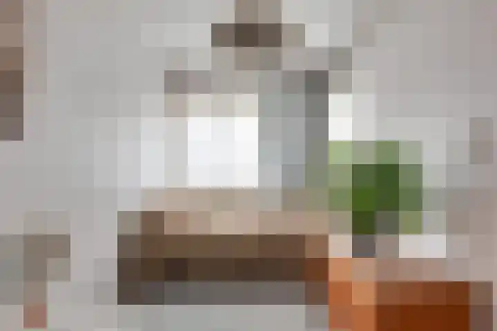 van Pallandtstraat 1 A Varsseveld thumbnail 33