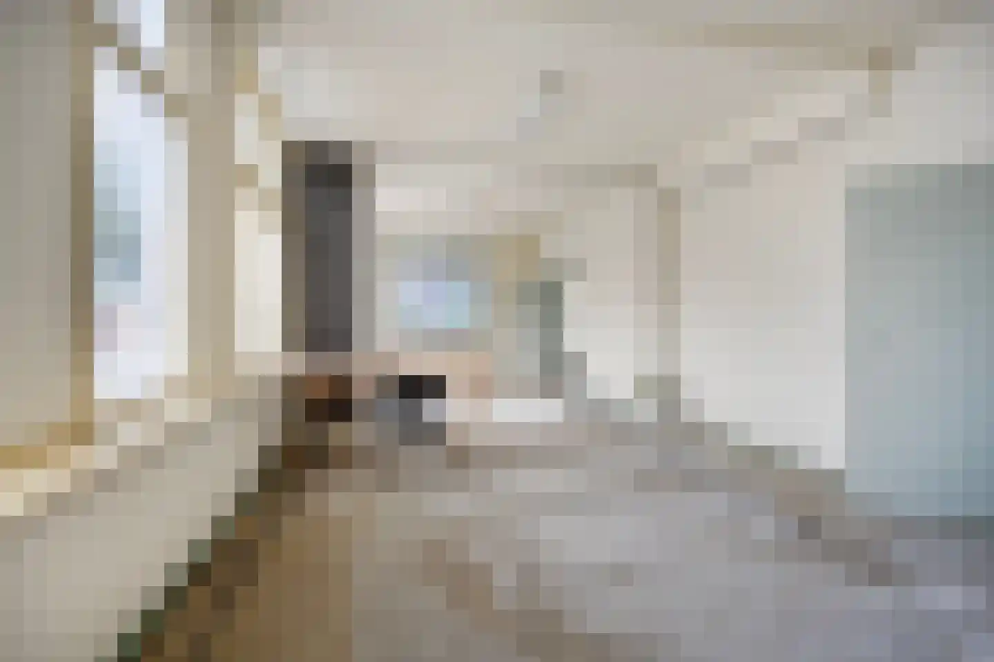 van Pallandtstraat 1 Varsseveld thumbnail 17