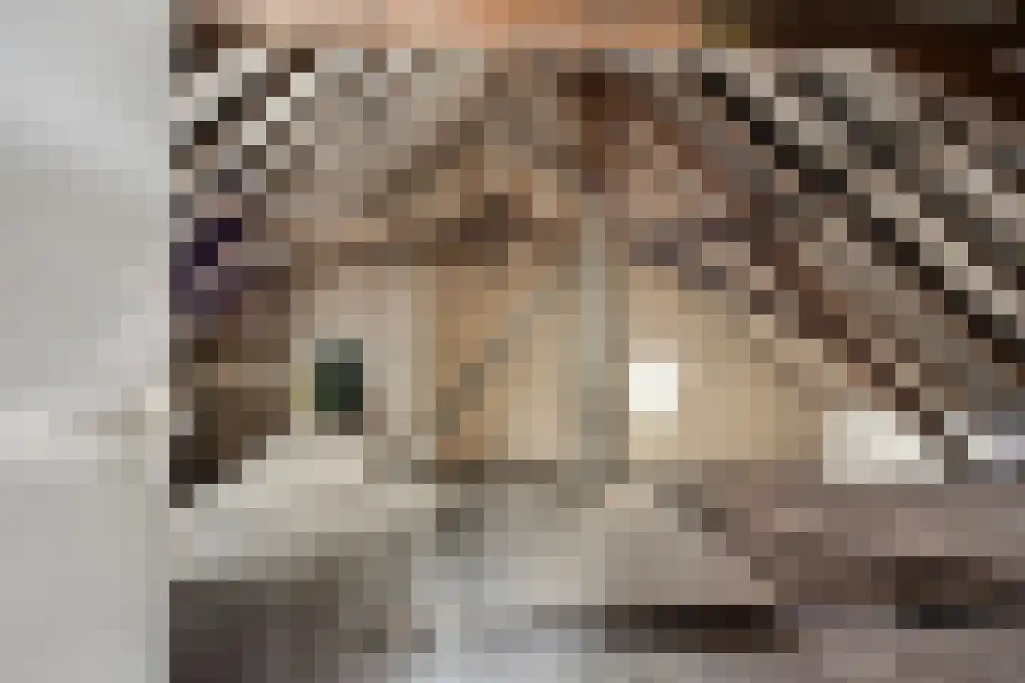 van Pallandtstraat 1 Varsseveld thumbnail 26