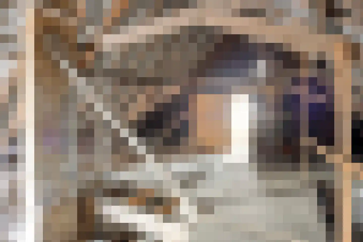 van Pallandtstraat 1 Varsseveld thumbnail 27