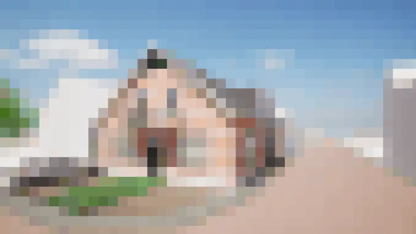 van Pallandtstraat 1 Varsseveld thumbnail 4
