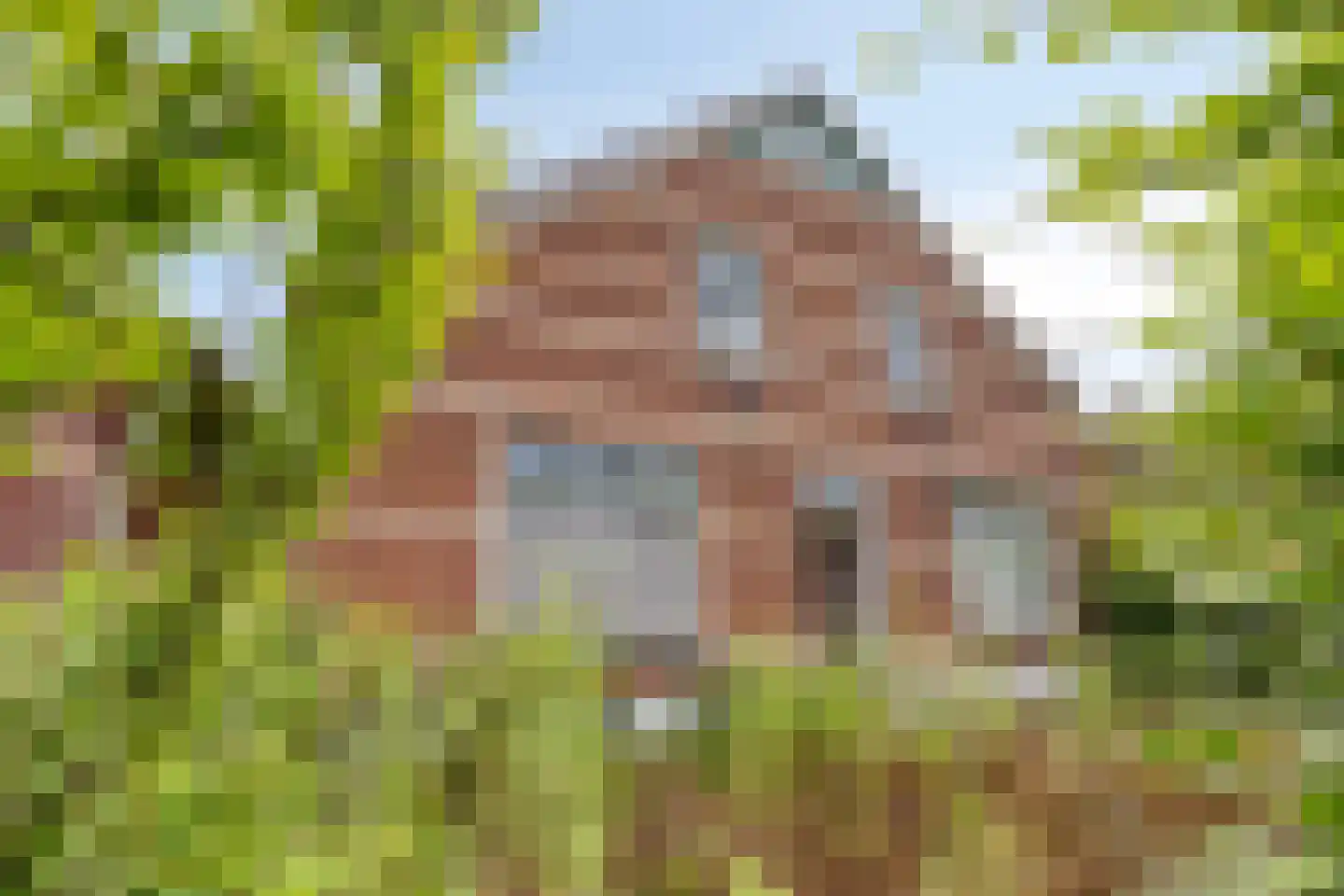 van Pallandtstraat 1 Varsseveld thumbnail 9