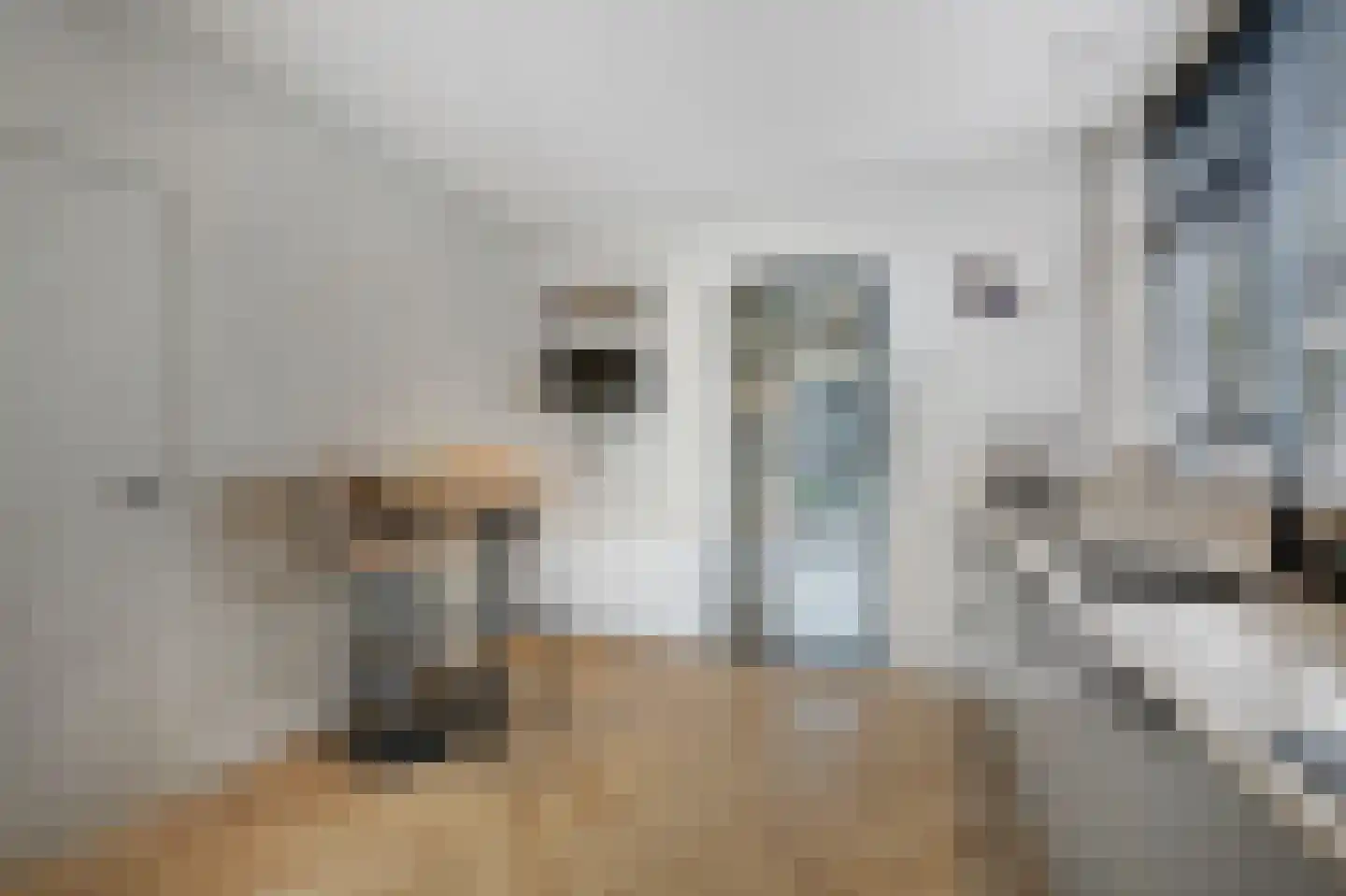 van Pallandtstraat 11 Varsseveld thumbnail 22