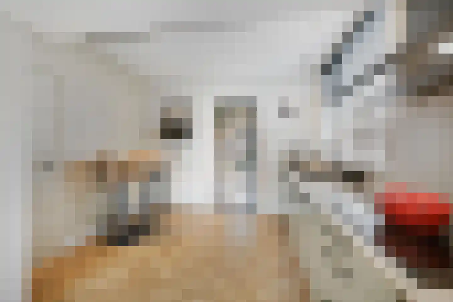 van Pallandtstraat 11 Varsseveld thumbnail 23