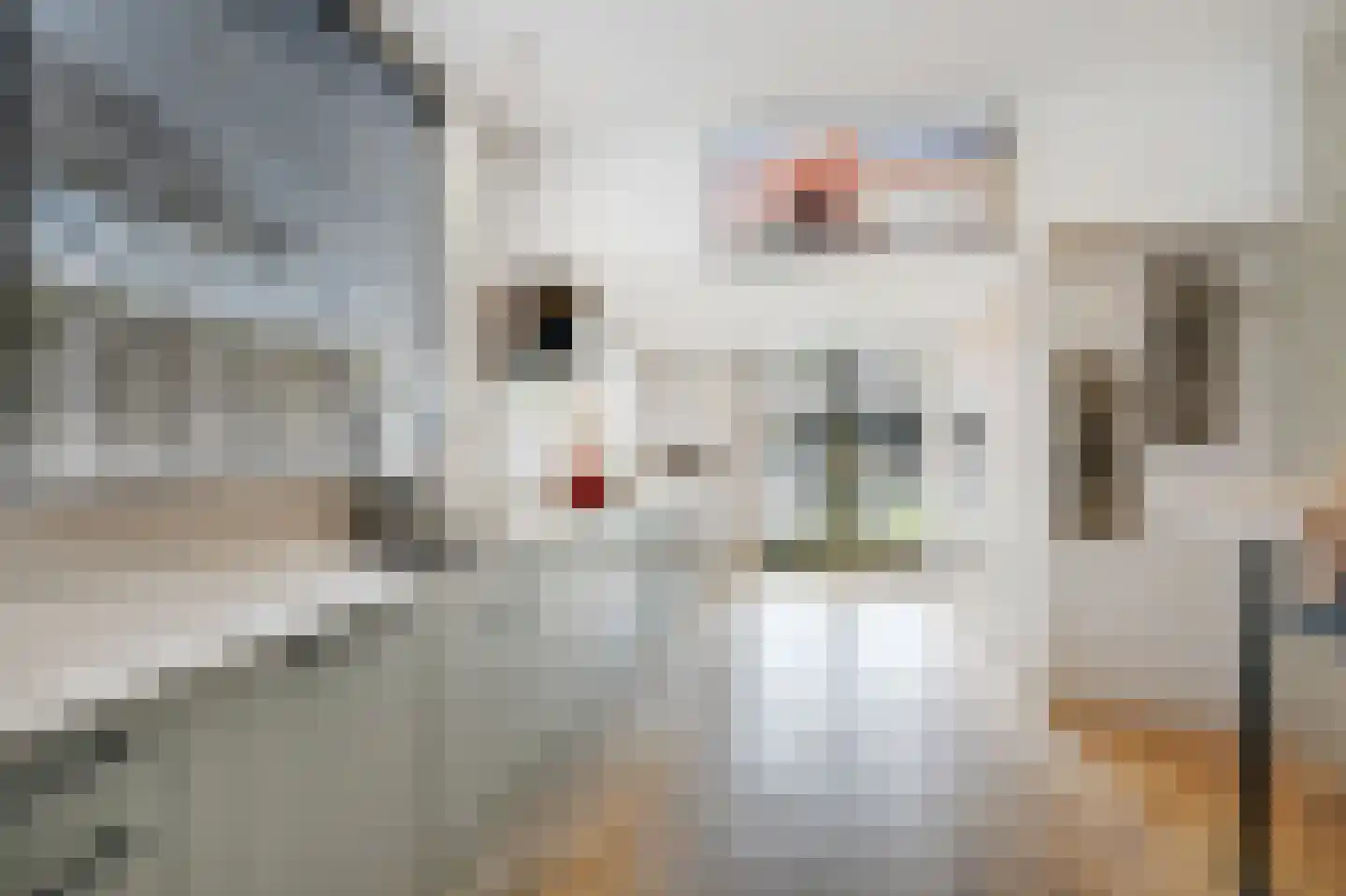 van Pallandtstraat 11 Varsseveld thumbnail 24