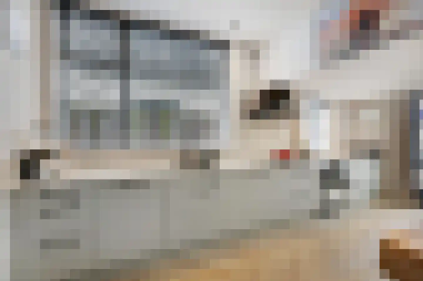 van Pallandtstraat 11 Varsseveld thumbnail 25