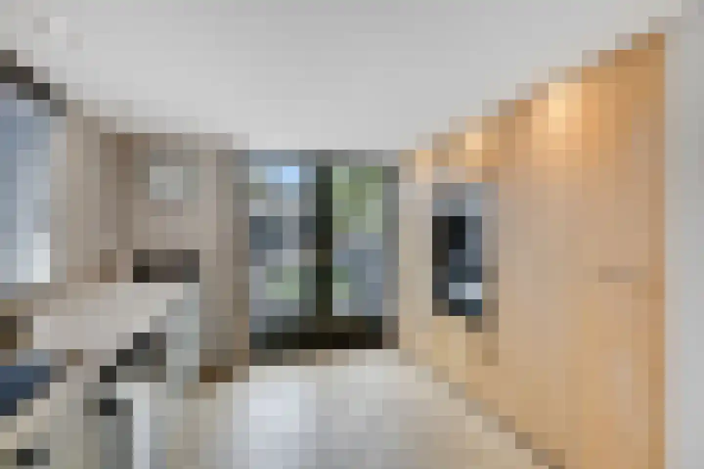 van Pallandtstraat 11 Varsseveld thumbnail 26