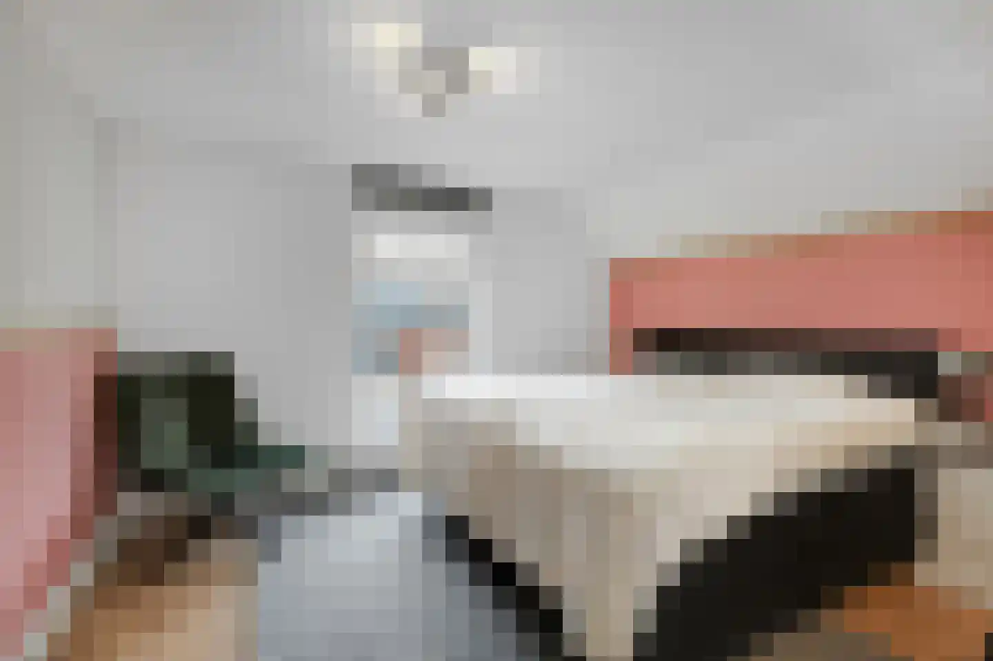 van Pallandtstraat 11 Varsseveld thumbnail 29