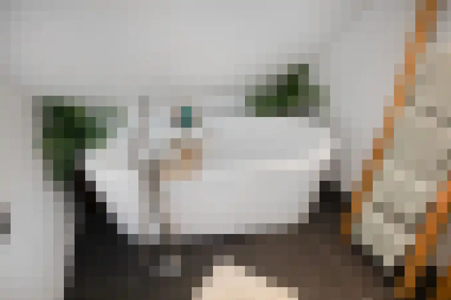van Pallandtstraat 11 Varsseveld thumbnail 36