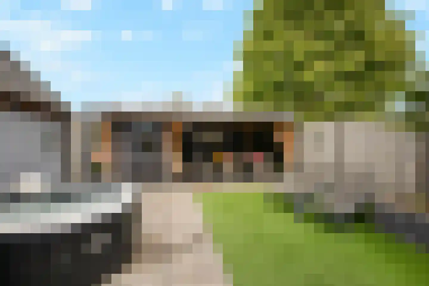 van Pallandtstraat 11 Varsseveld thumbnail 44