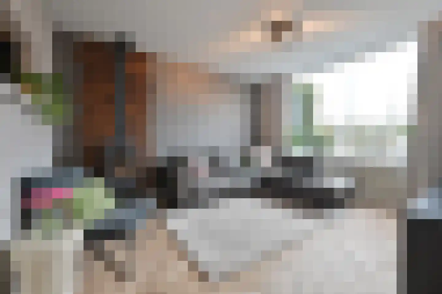 van Pallandtstraat 13 Putten thumbnail 7