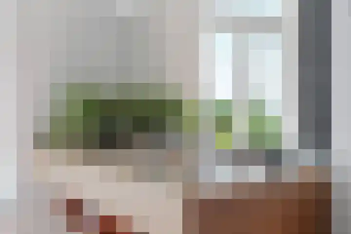Van Pallandtstraat 21 Arnhem thumbnail 30