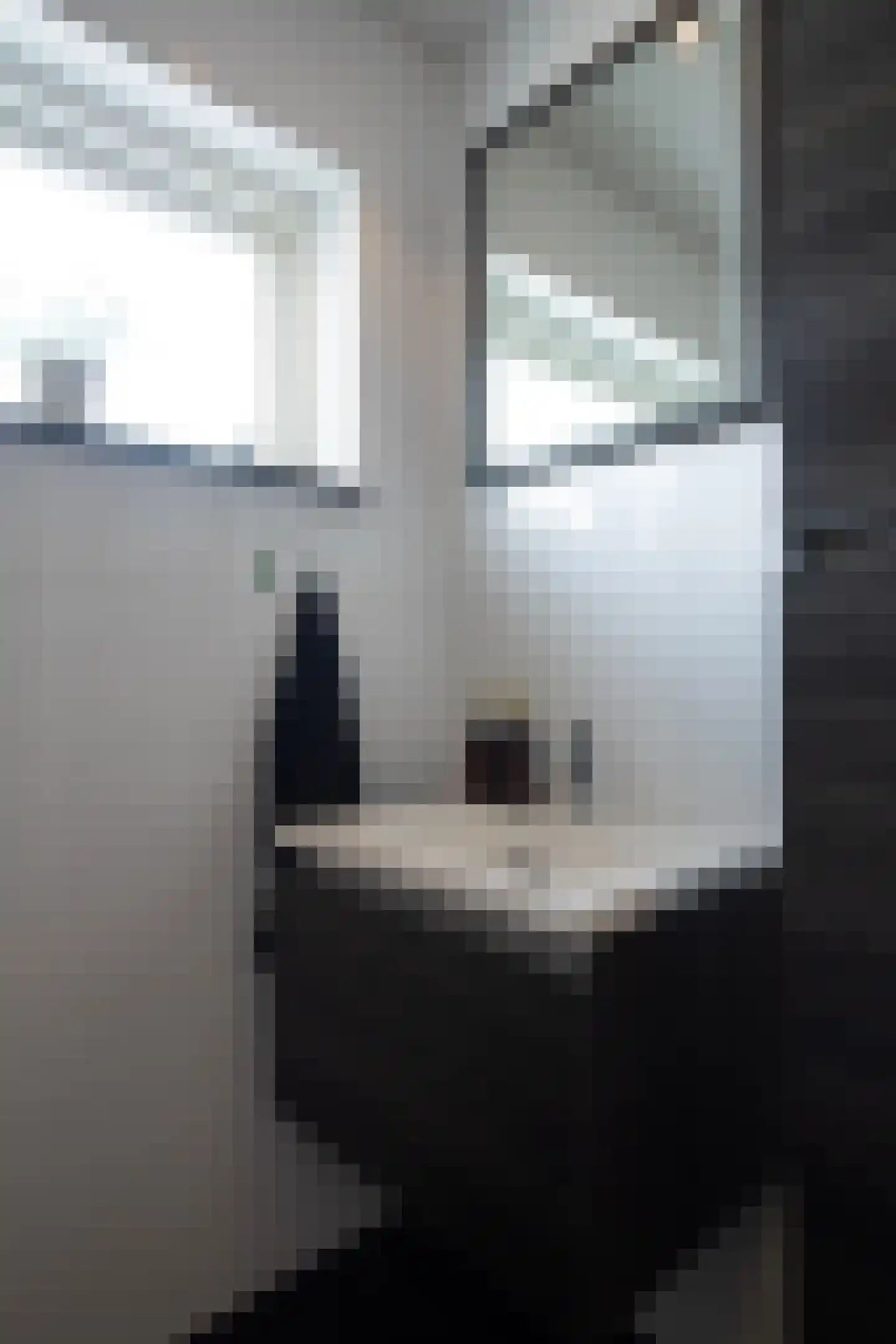 van Pallandtstraat 29 Putten thumbnail 17