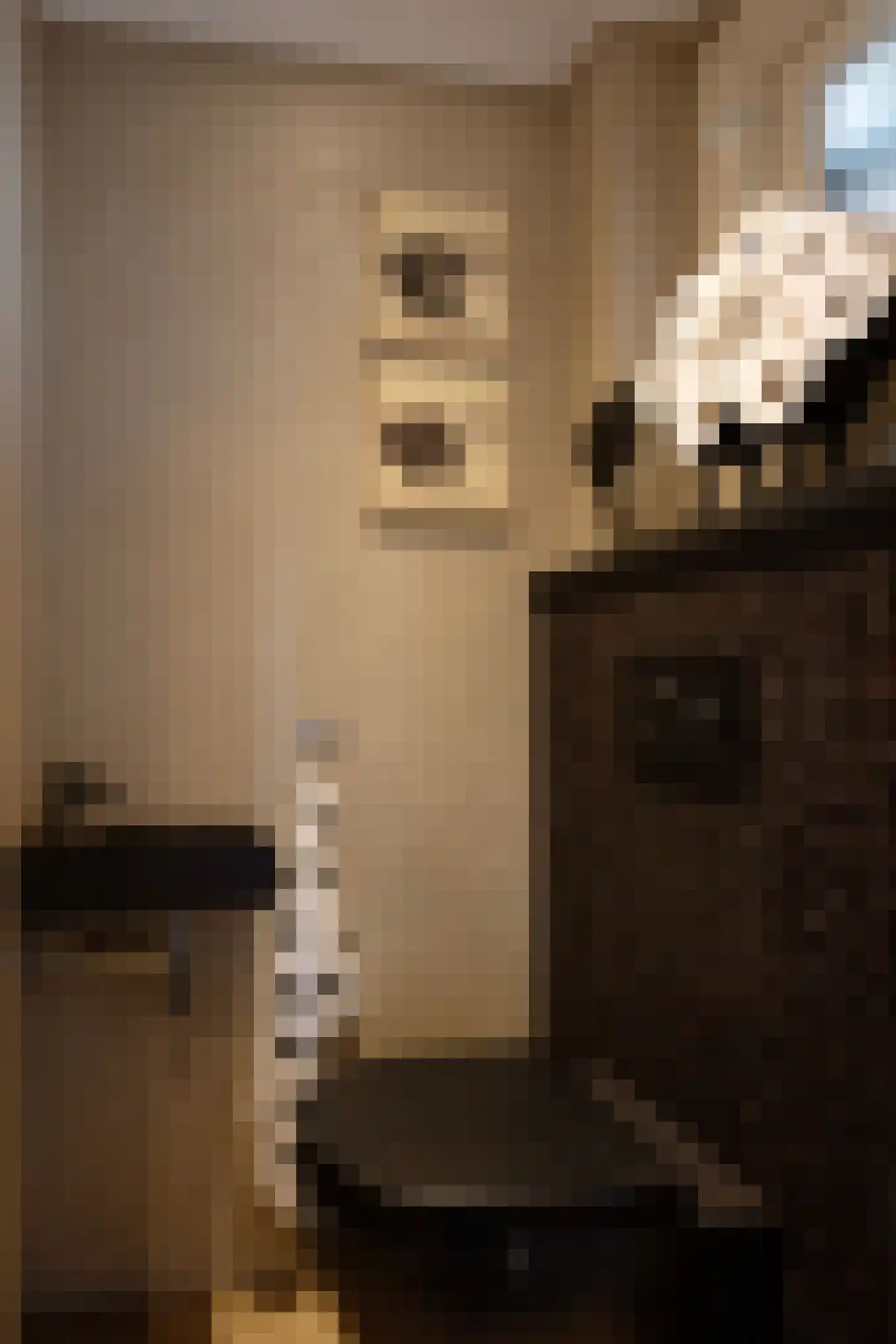 van Pallandtstraat 29 Putten thumbnail 7