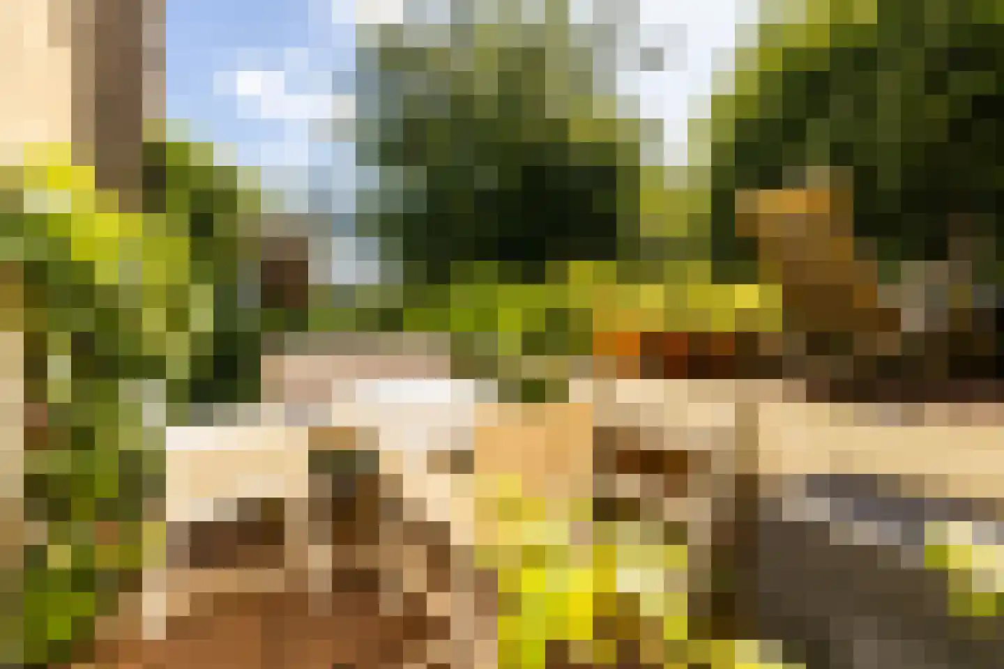 Van Pallandtstraat 39 Arnhem thumbnail 24