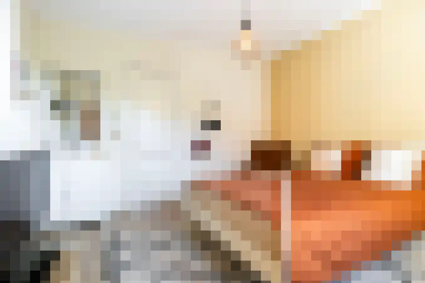 Van Pallandtstraat 39 Arnhem thumbnail 27