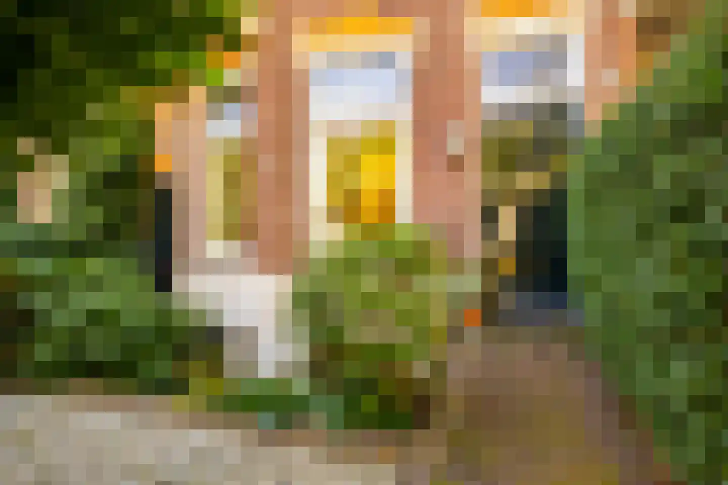 Van Pallandtstraat 39 Arnhem thumbnail 37