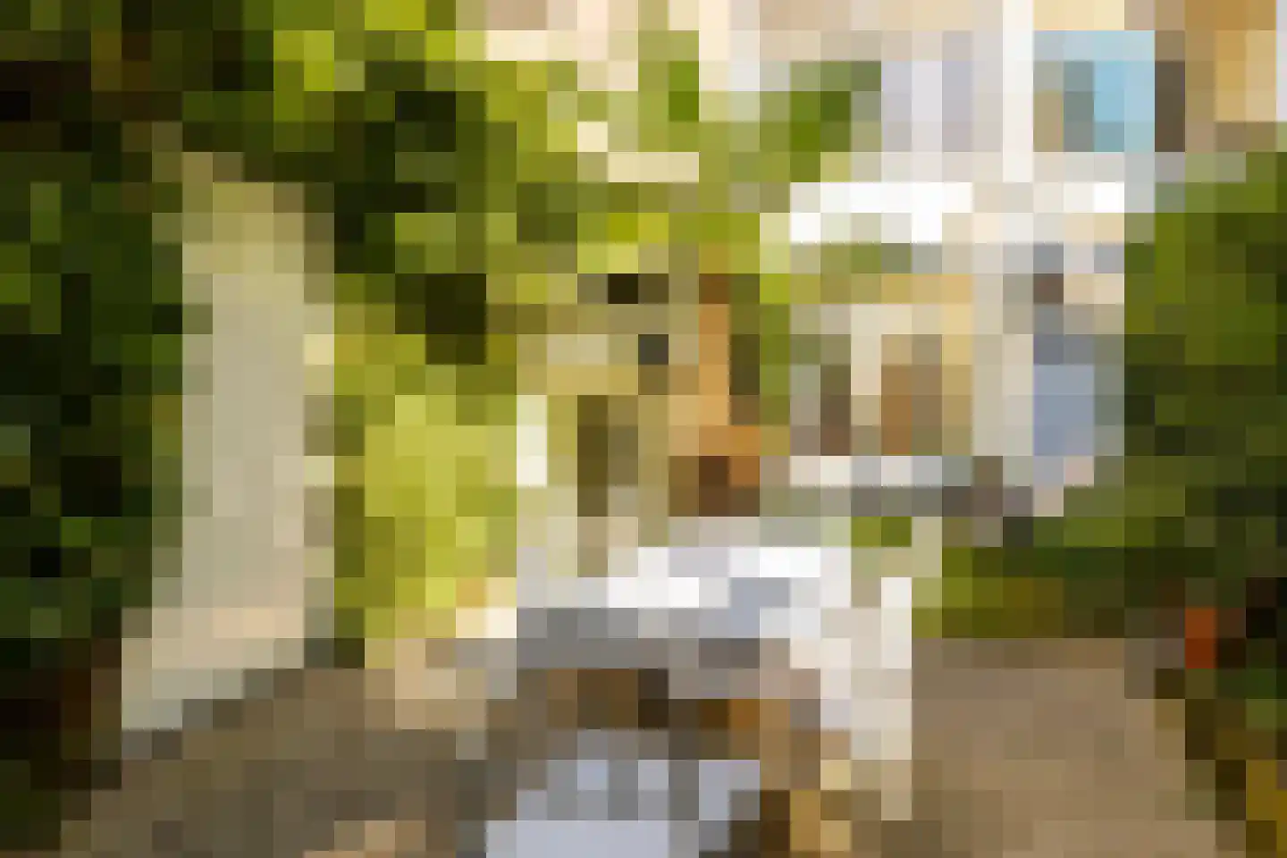 Van Pallandtstraat 39 Arnhem thumbnail 4